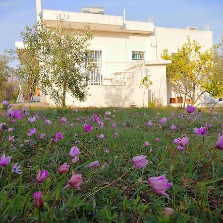 Costasfarmhouse, Pallini, Near Athens Airport Apartment Exterior photo