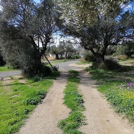 Costasfarmhouse, Pallini, Near Athens Airport Apartment Exterior photo