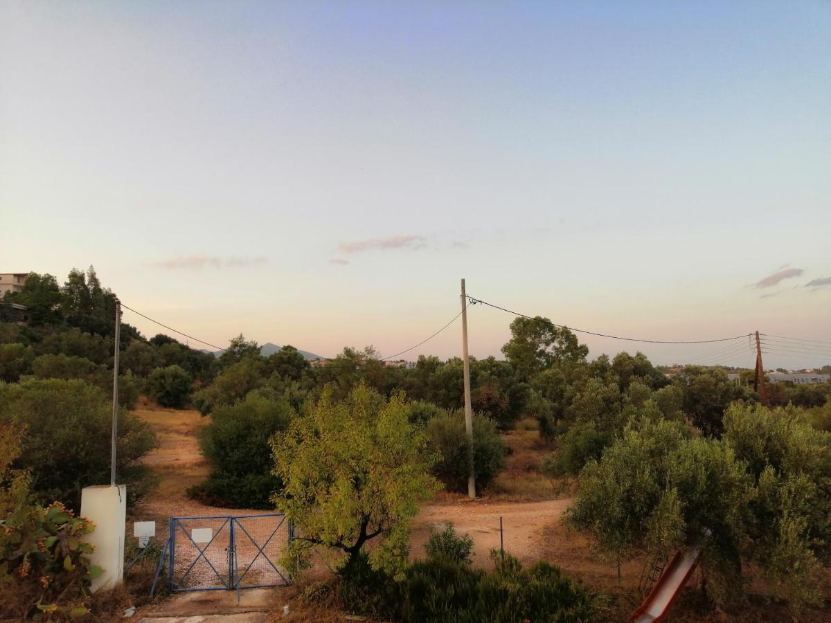Costasfarmhouse, Pallini, Near Athens Airport Apartment Exterior photo
