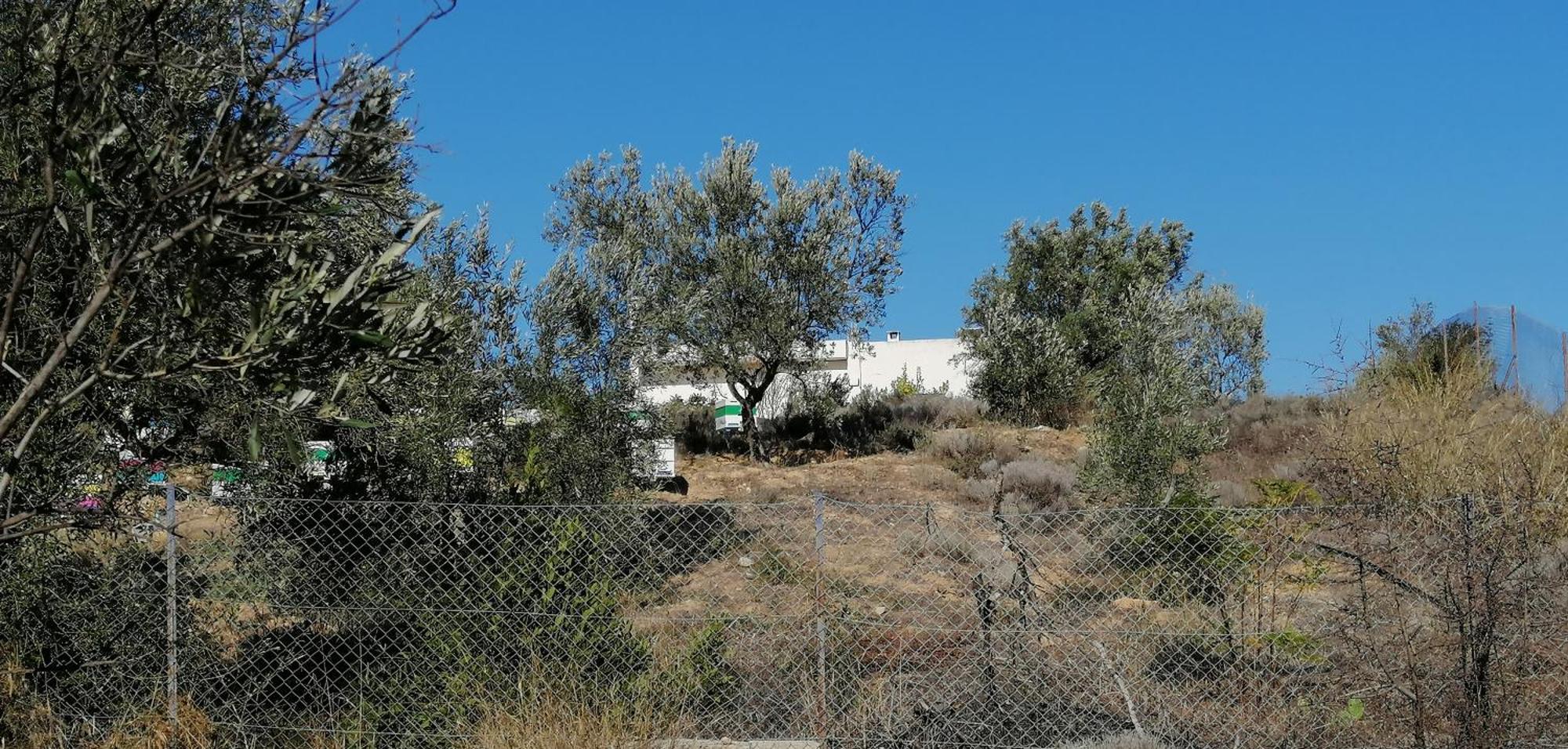 Costasfarmhouse, Pallini, Near Athens Airport Apartment Exterior photo