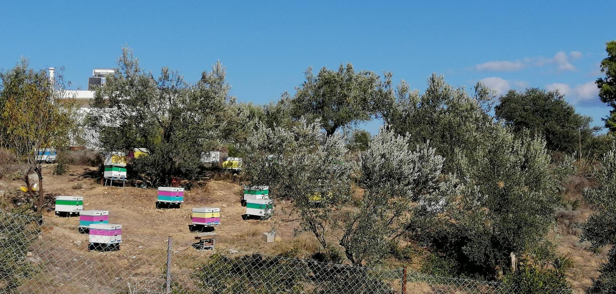 Costasfarmhouse, Pallini, Near Athens Airport Apartment Exterior photo